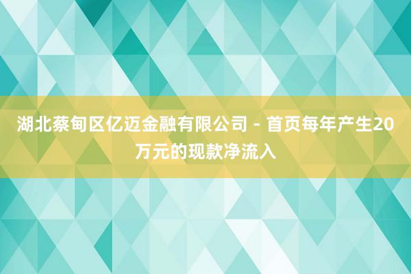 湖北蔡甸区亿迈金融有限公司 - 首页每年产生20万元的现款净流入